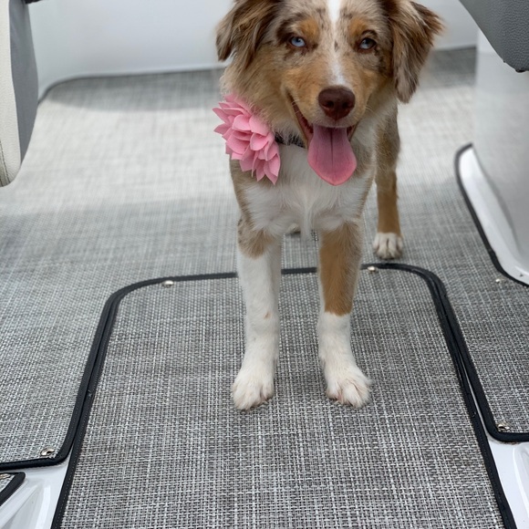 I’m Corinne! Thanks for stopping by to get to know me 😁 - Picture 10 of 14